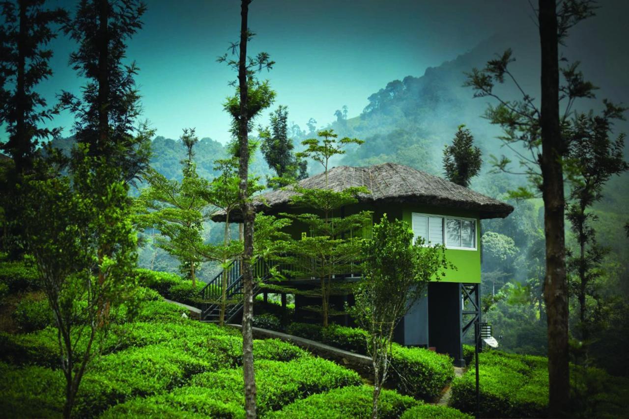 Wild Planet Jungle Resort Devala Luaran gambar